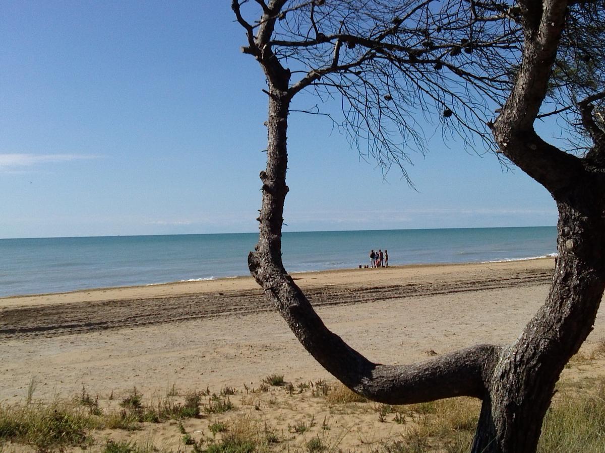 Hotel Alexander Bibione Exterior foto